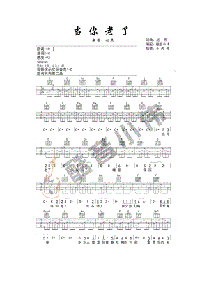 当你老了吉他谱六线谱 赵照 C调酷音小伟吉他弹唱教学 吉他谱.docx