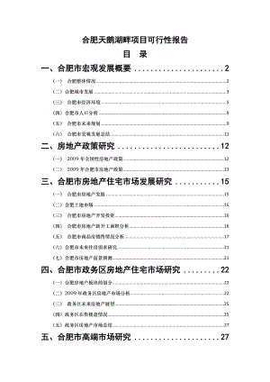 合肥市天鹅湖畔地块项目可行性研究报告68页.doc