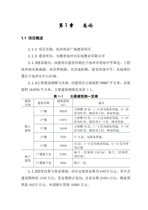 池州商业广场可行性研究.doc