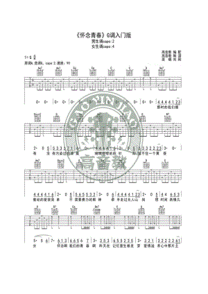 怀念青春吉他谱 吉他谱.docx