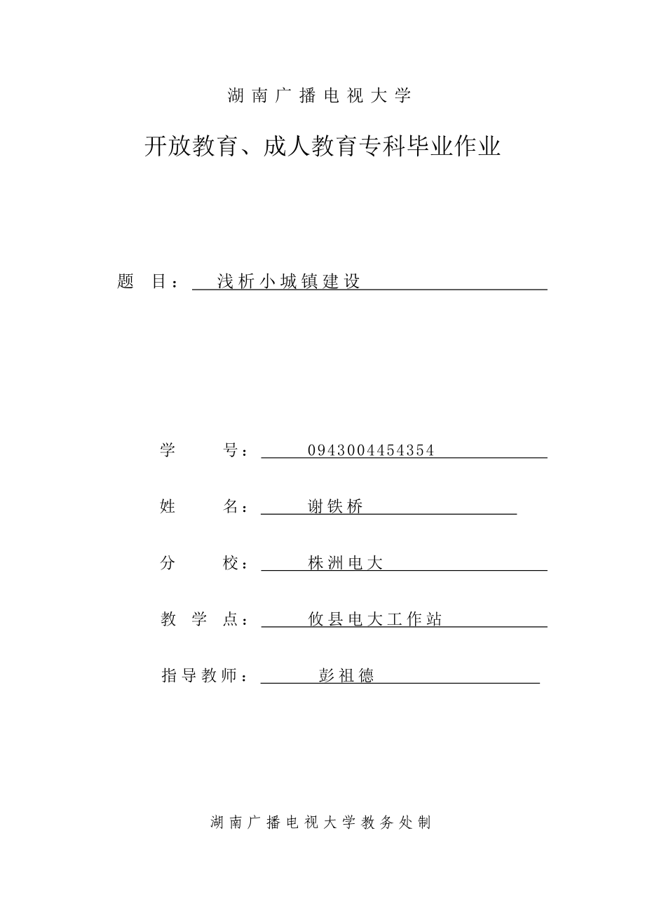 0943004454354+谢铁桥+浅析小城镇建设.doc_第1页