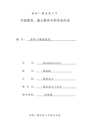 0943004454354+谢铁桥+浅析小城镇建设.doc