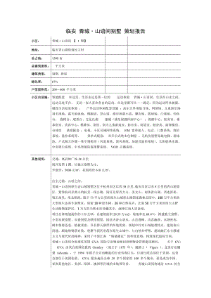 别墅 策划报告.doc