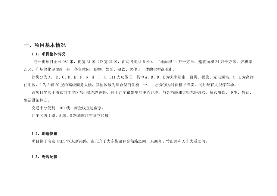 南京江宁区商业街项目策划报告.doc_第2页