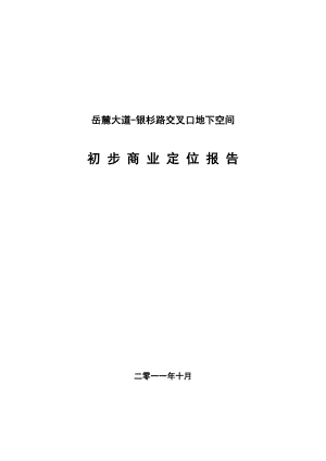 10月湖南省岳麓大道银杉路地下空间初步商业定位报告.doc