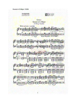 Sonata in G Major D.894（G大调奏鸣曲 D.894） 钢琴谱.docx