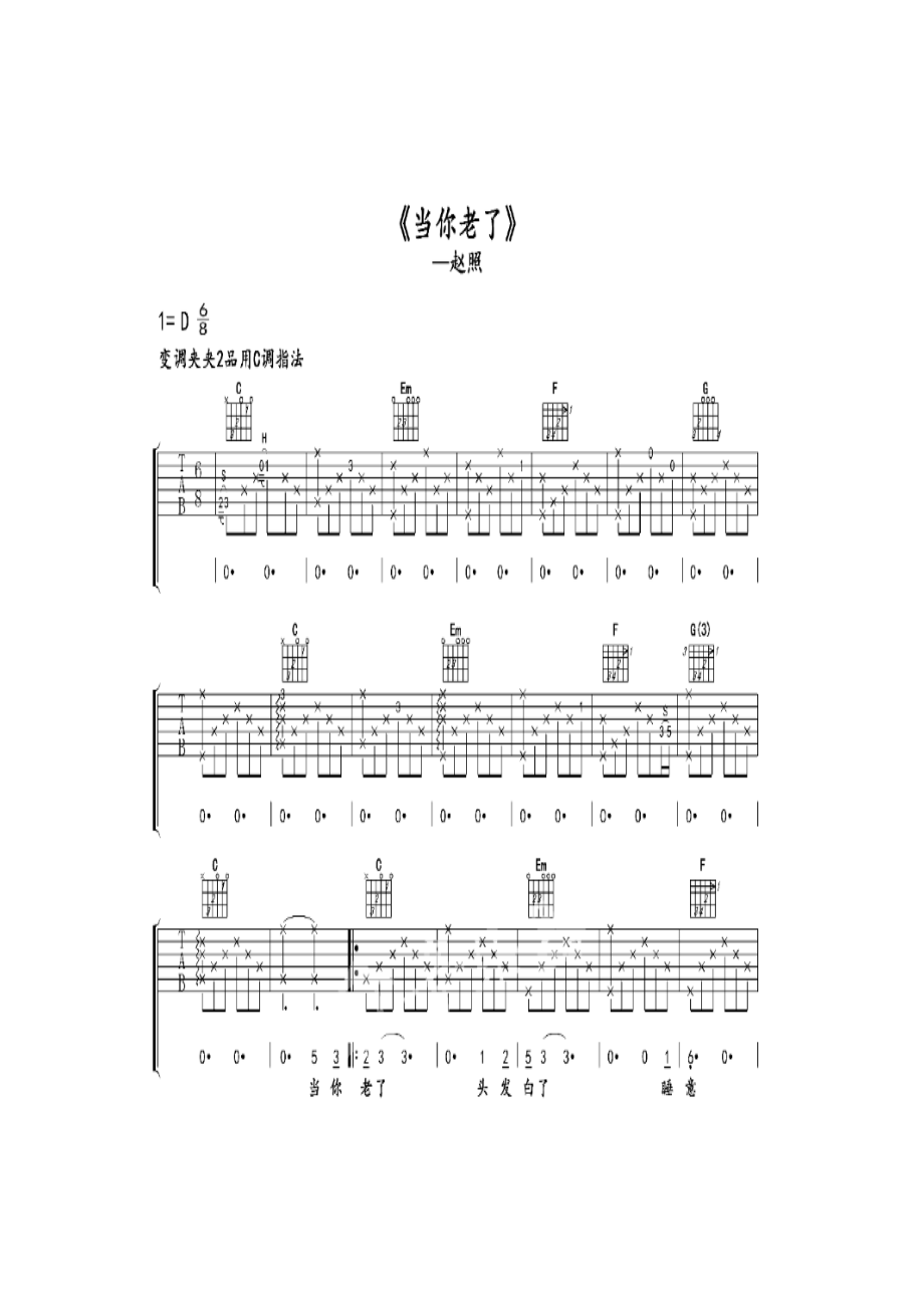赵照《当你老了》 吉他谱.docx_第1页