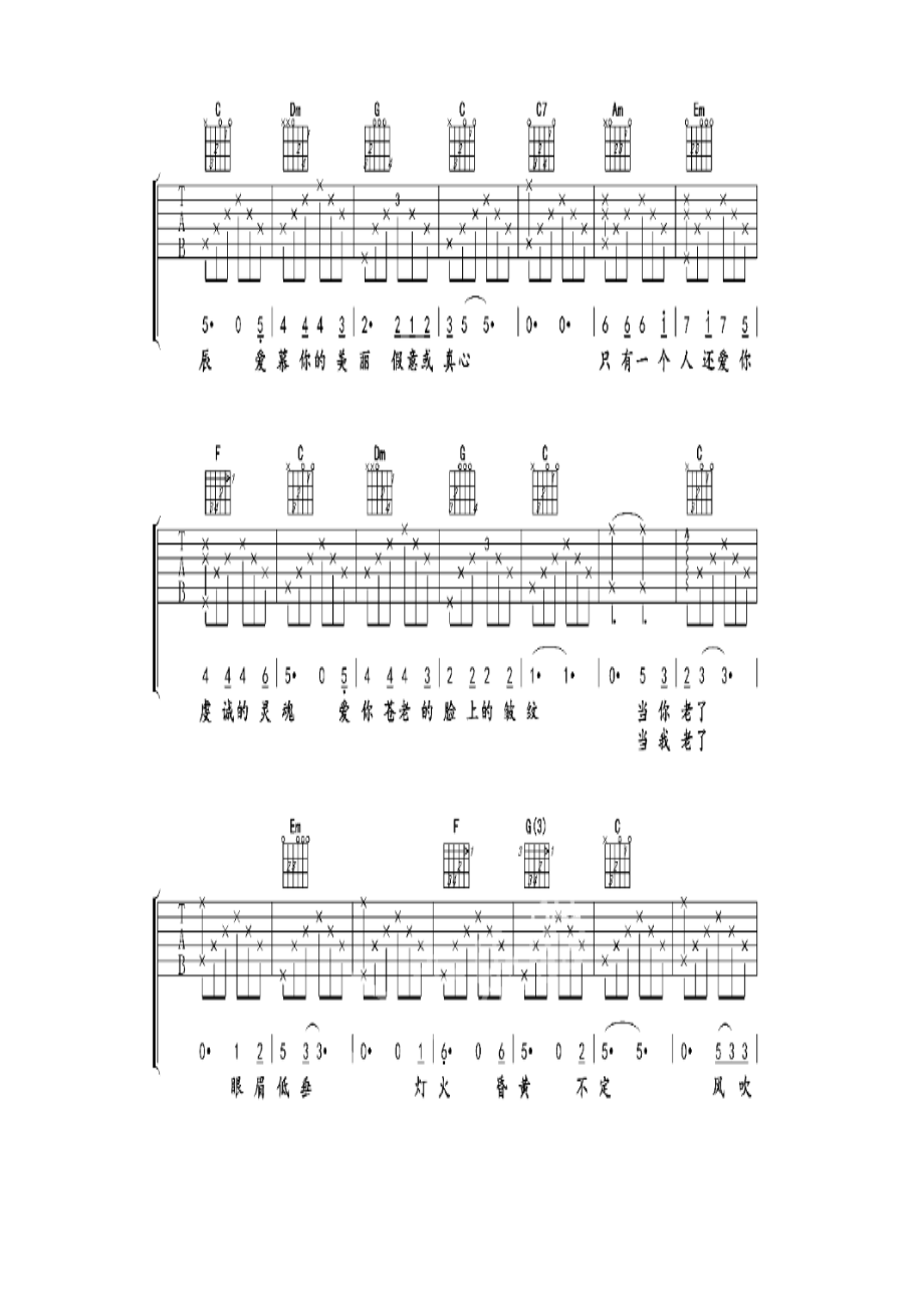 赵照《当你老了》 吉他谱.docx_第3页