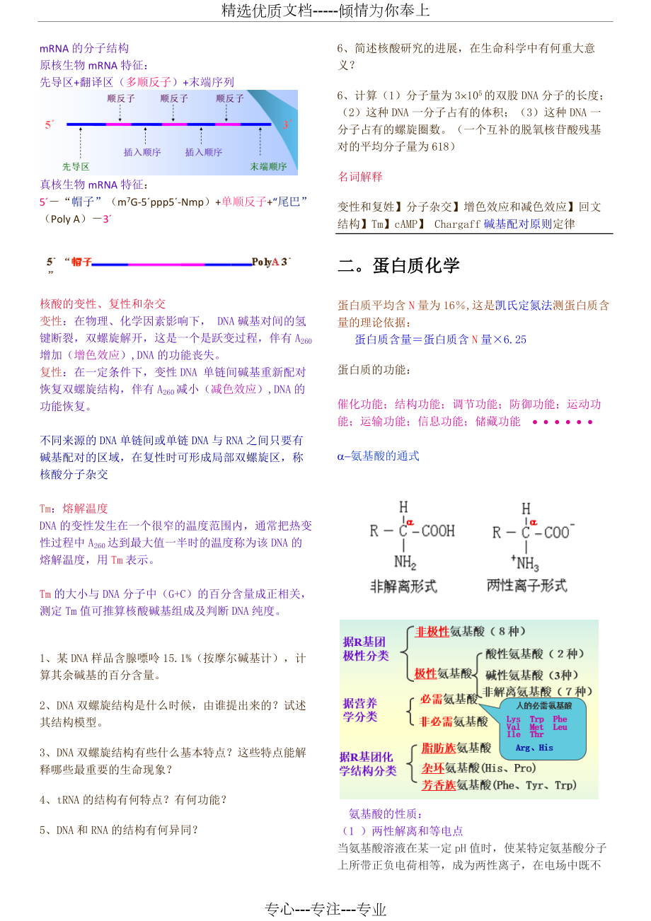 生物化学超详细复习版.docx_第2页