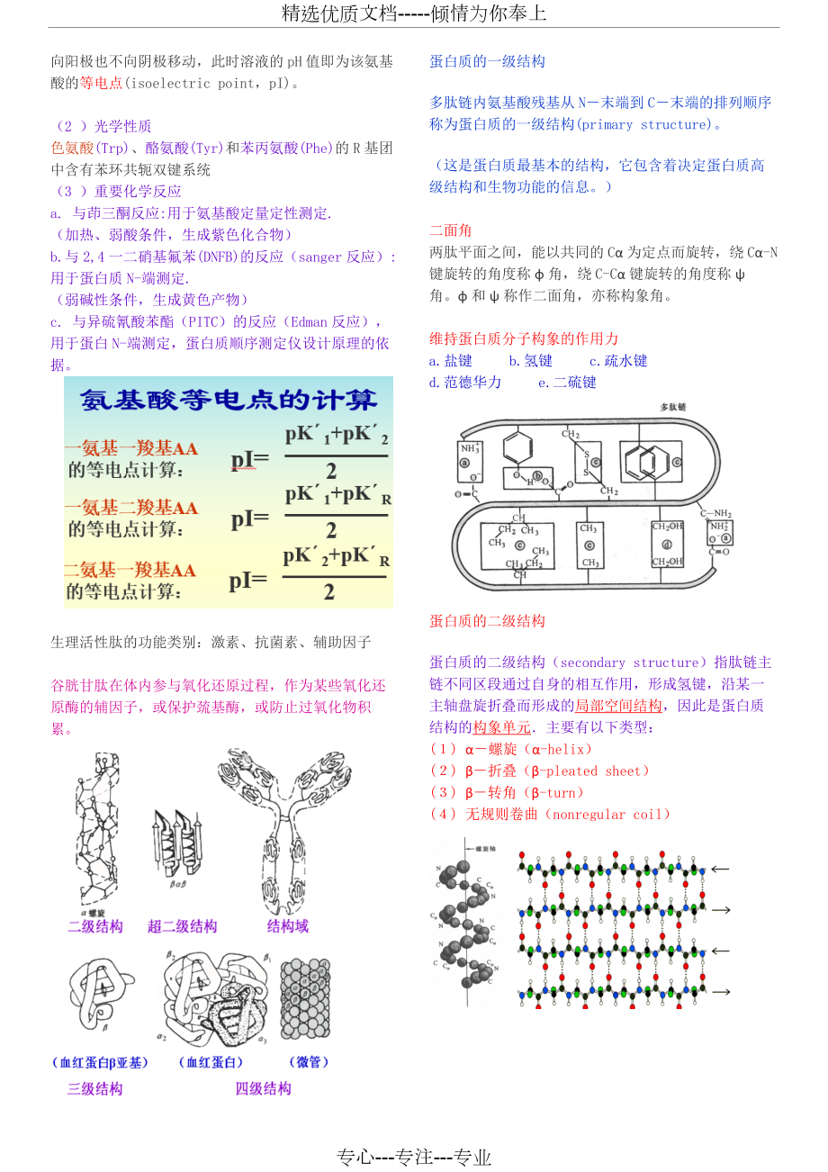 生物化学超详细复习版.docx_第3页