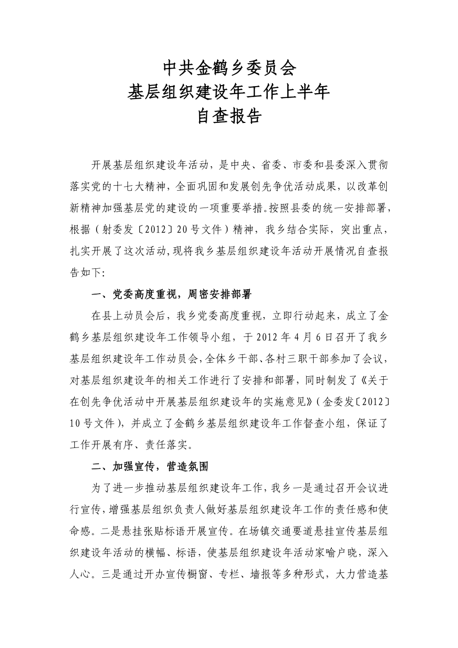 基层组织建设上半自查报告.doc_第1页