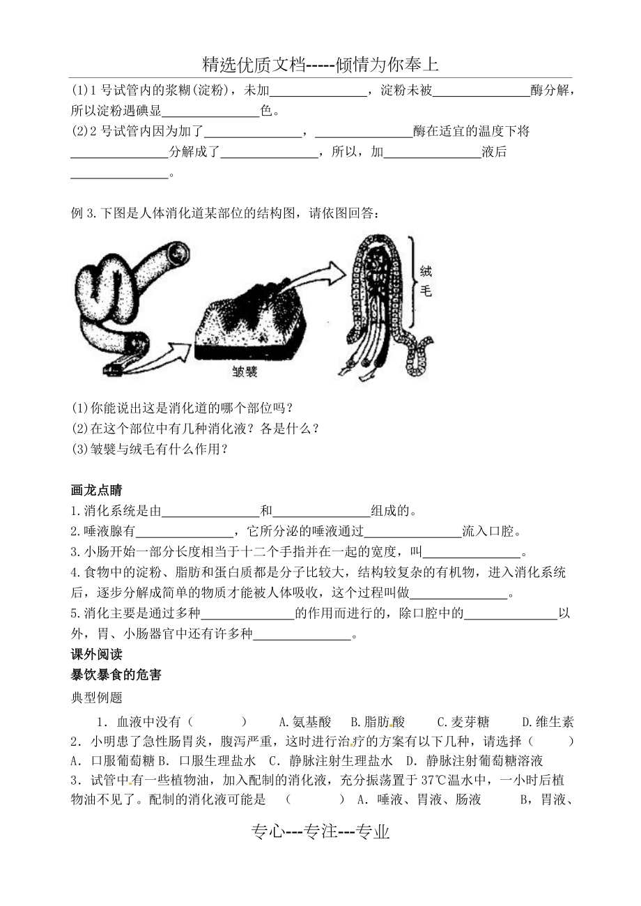 消化和吸收练习题.doc_第3页