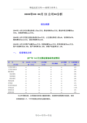 财务分析报告模板.doc