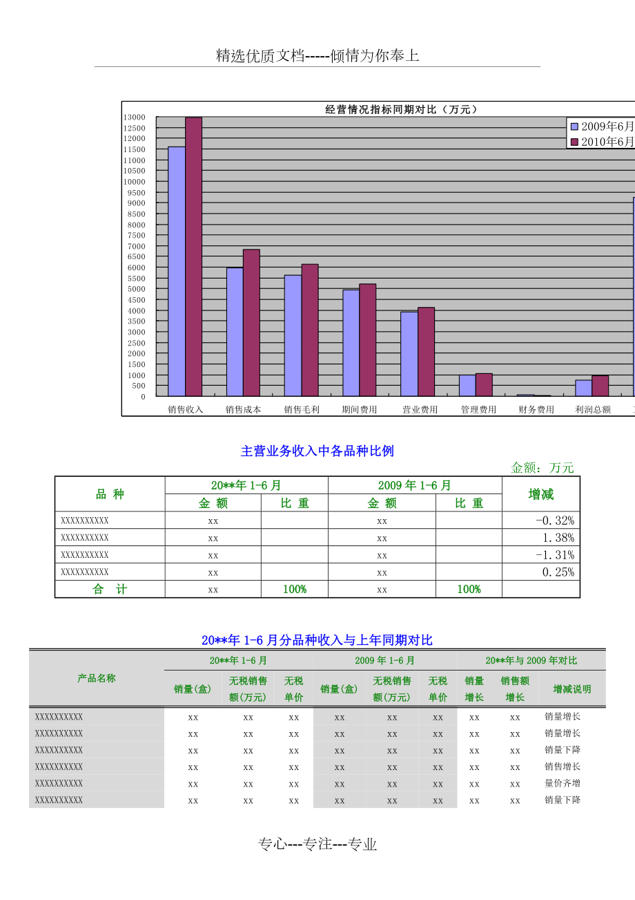 财务分析报告模板.doc_第2页