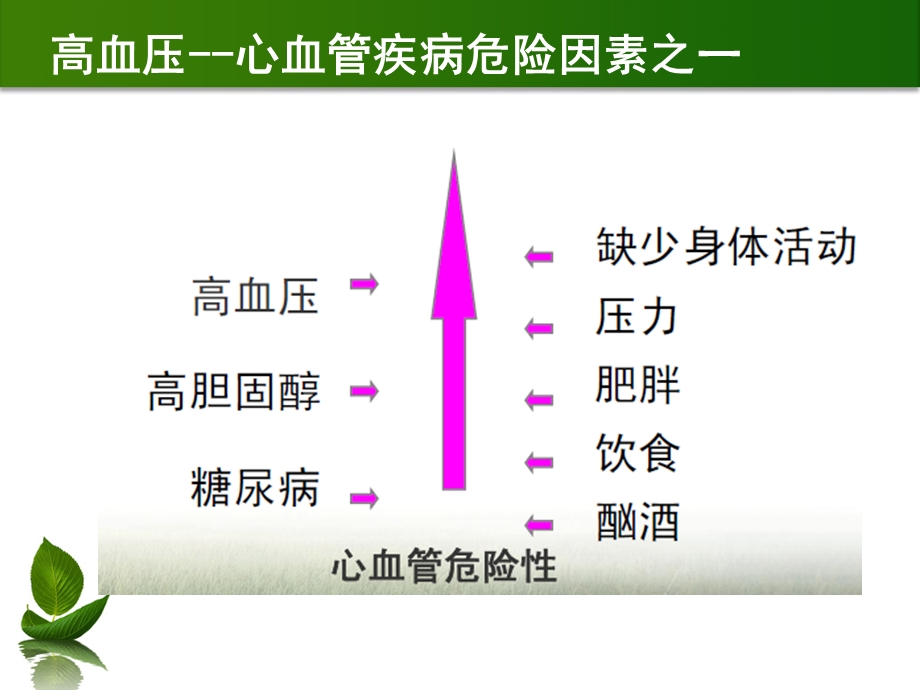 高血压患者冬养生.ppt_第2页