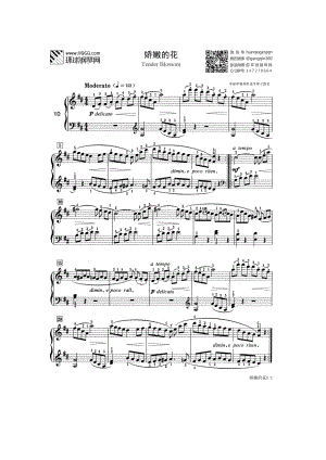 娇嫩的花（TenderBlossom布格缪勒钢琴进阶25曲作品100钢琴谱.docx
