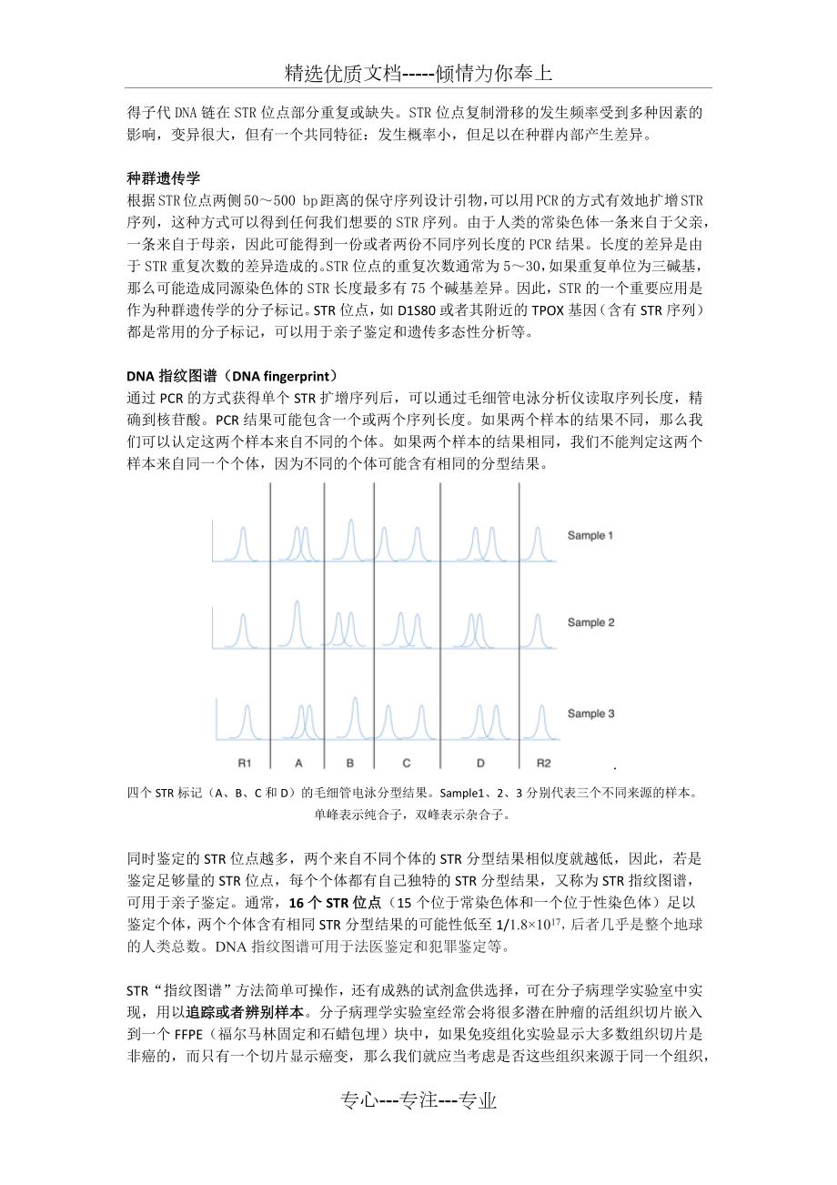 一篇文章让你看懂STR技术.docx_第2页