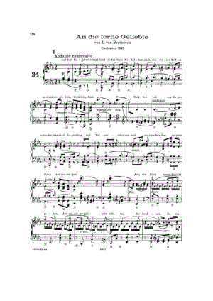 Liszt 钢琴谱_63.docx