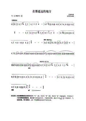 在那遥远的地方 笛箫曲谱.docx