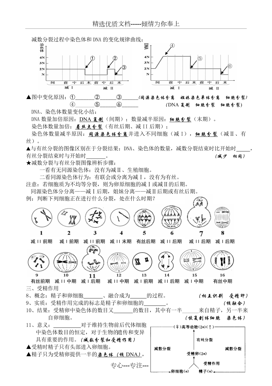 生物必修二知识填空.doc_第3页