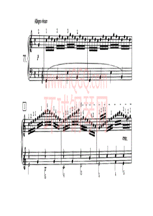 车尔尼八度内进阶练习曲100首 钢琴谱_78.docx