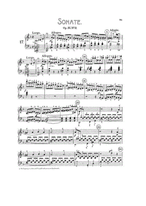 Beethoven 钢琴谱_41.docx