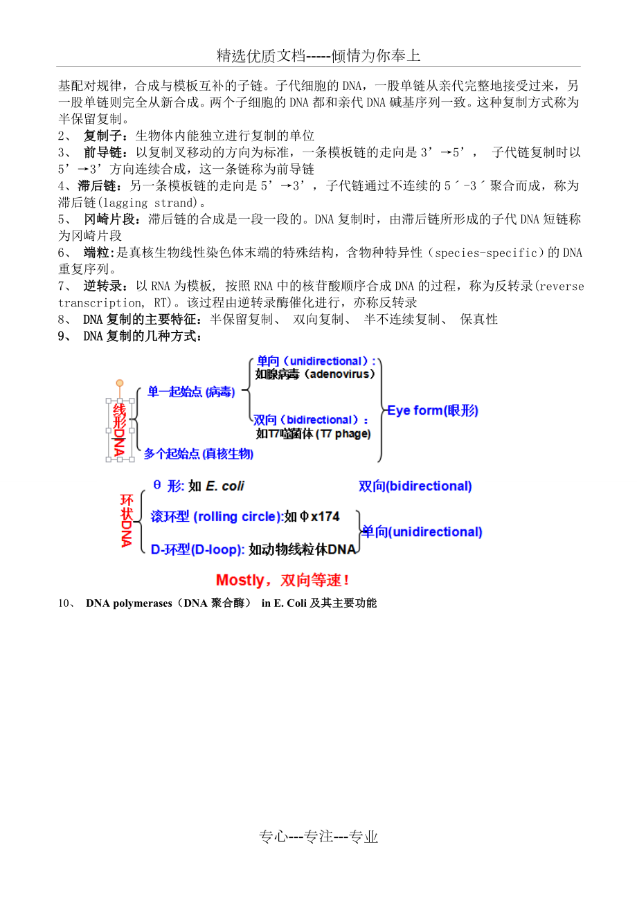 分子生物学总结完整版.doc_第2页