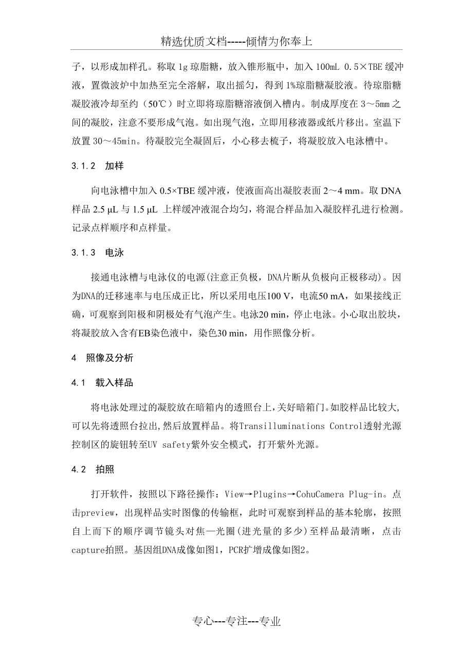 仪器分析之凝胶成像系统的概述.doc_第3页