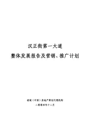 汉正街第一大道整体发展报告及营销计划（精华版）71p.doc