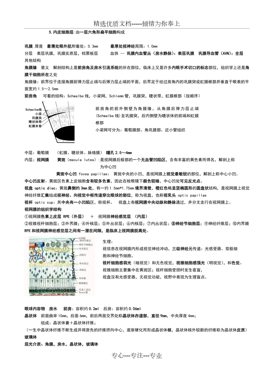 眼科学重点总结人卫第八版(终极版).doc_第2页