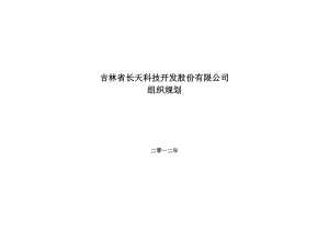 科技开发公司组织规划.doc