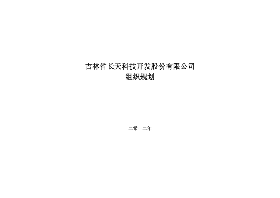 科技开发公司组织规划.doc_第1页