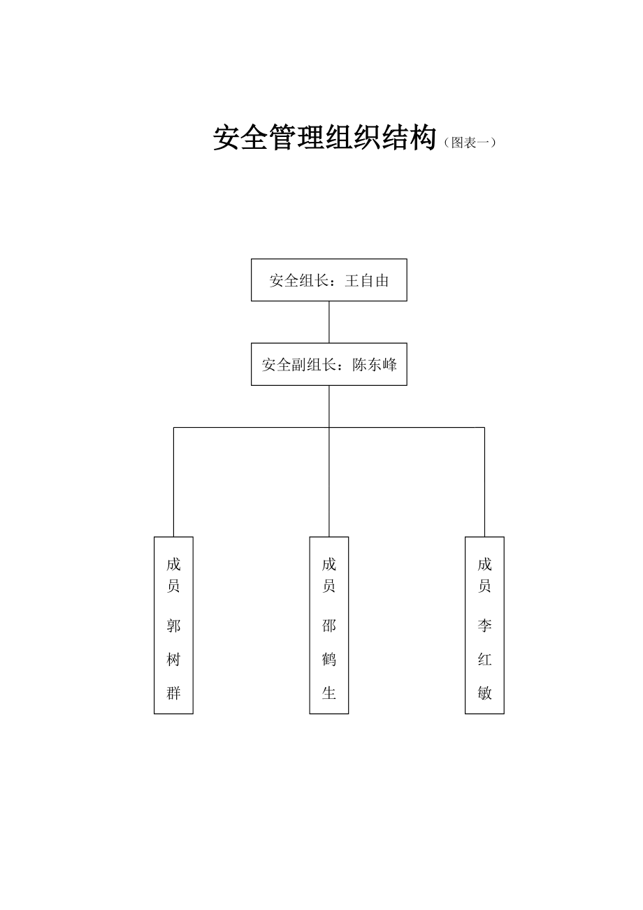 安全管理组织结构.doc_第1页