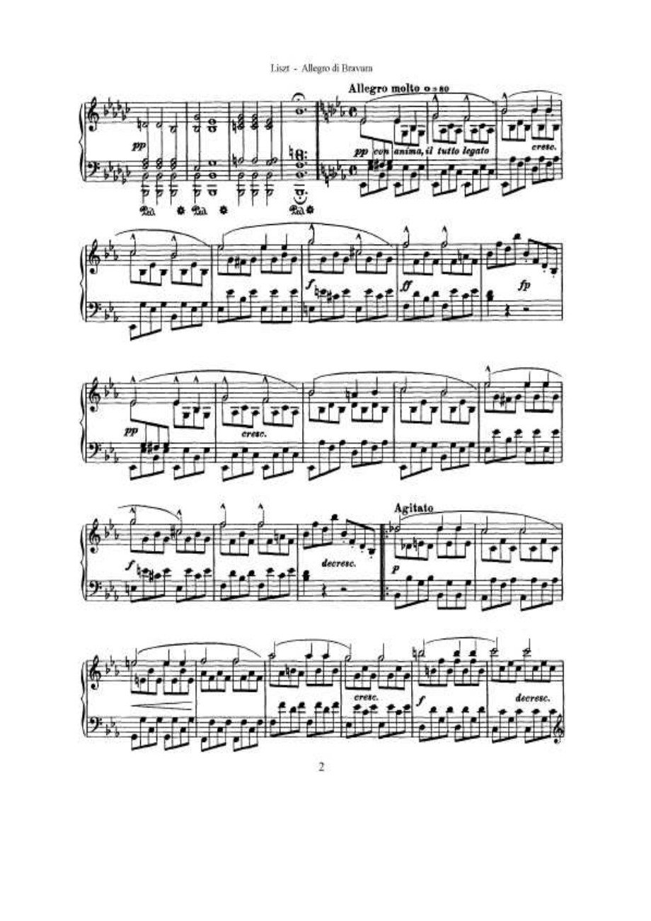 Liszt 钢琴谱_67.docx_第2页