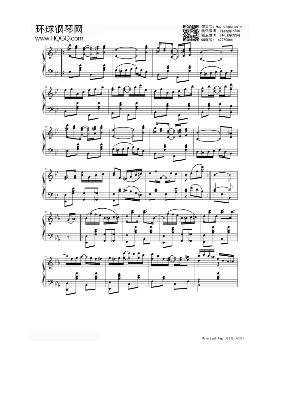 Palm Leaf Rag（棕榈叶拉格） 钢琴谱.docx_第2页