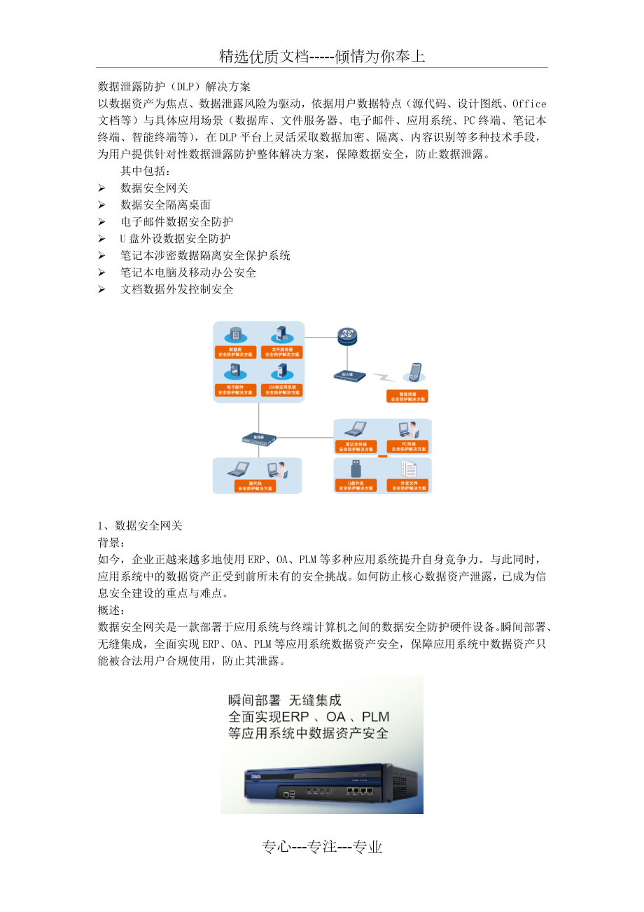 数据泄露防护解决方案.doc_第1页