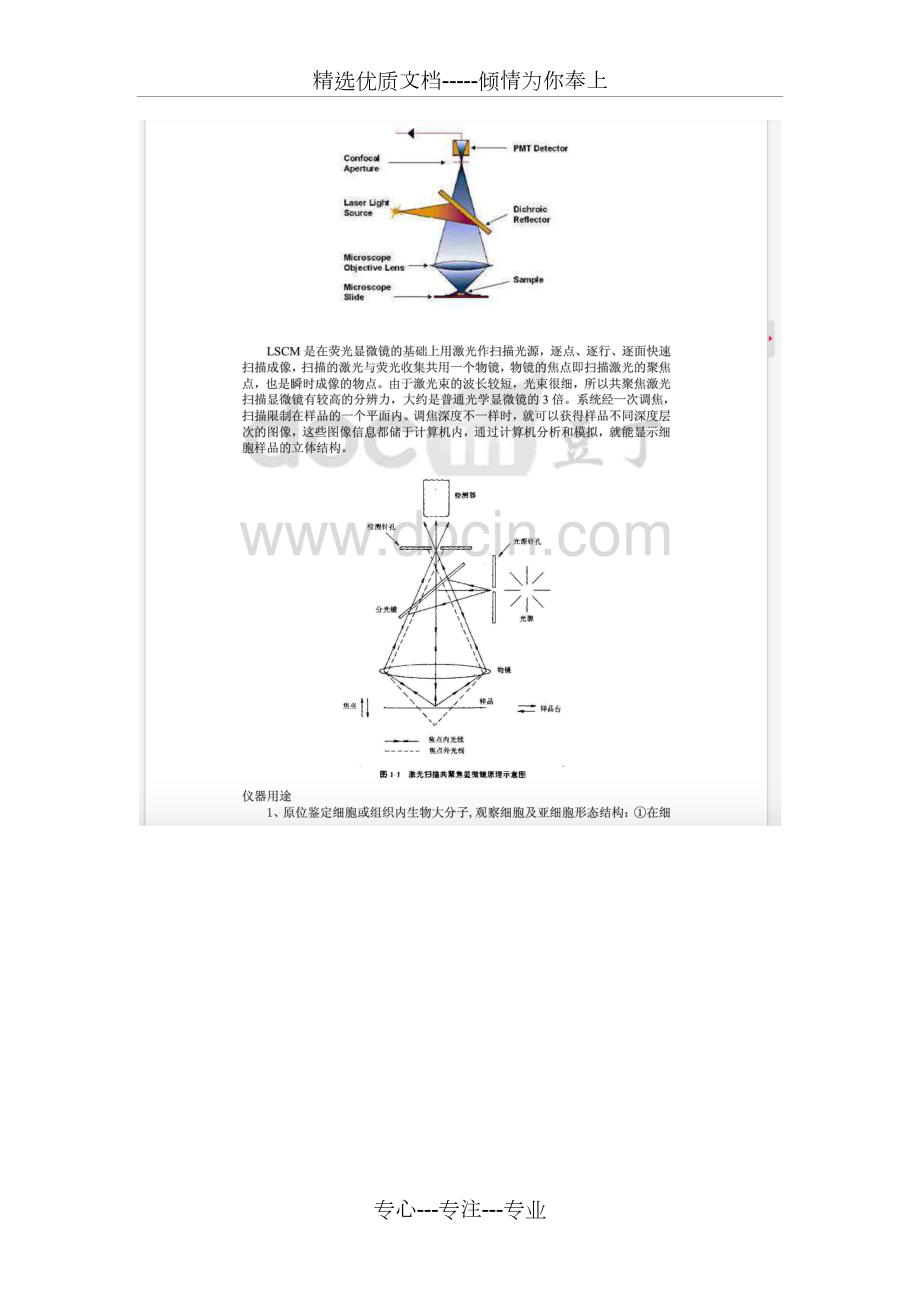 激光扫描共聚焦显微镜操作流程详解.docx_第2页