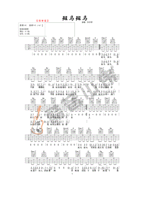 斑马斑马吉他谱六线谱 宋冬野 C调简单版（酷音小伟吉他） 吉他谱.docx
