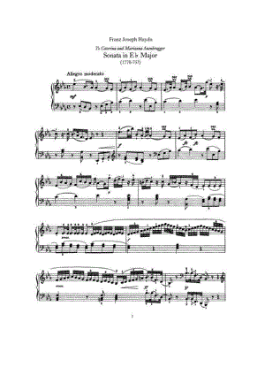 Haydn 钢琴谱_14.docx