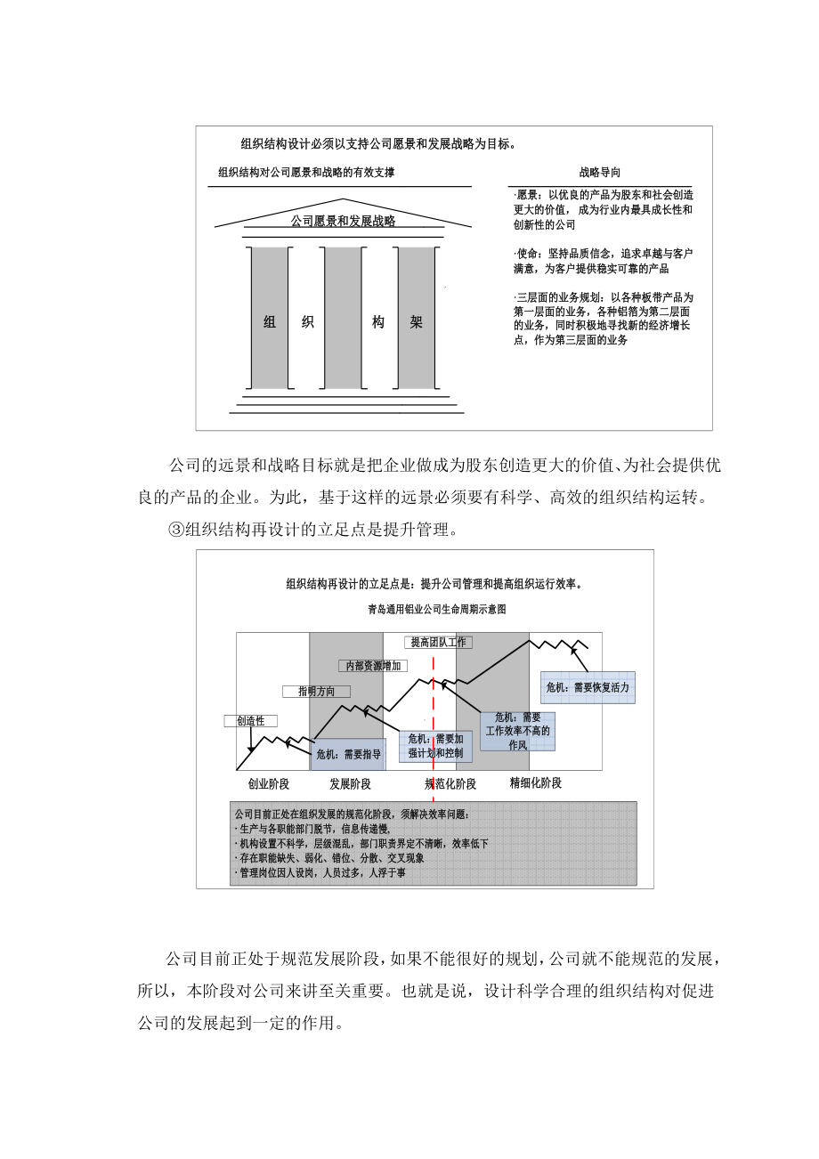 某有限公司组织结构设计建议书.doc_第2页