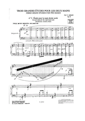 首华丽练习曲 3 Grandes Etudes Op.76 钢琴谱_2.docx