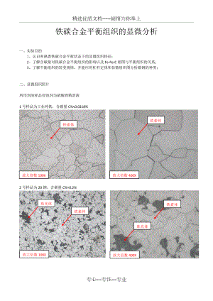 铁碳合金平衡组织的显微分析实验报告.docx