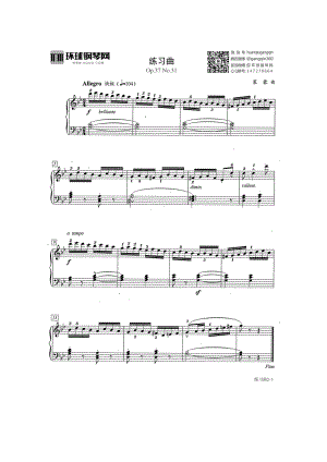 练习曲（Op.37 No.31） 钢琴谱.docx