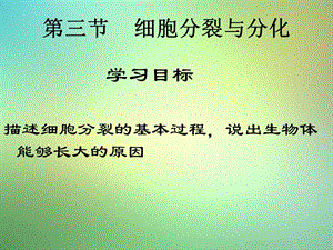 苏教版七年级上册第三节《细胞分裂与分化》课件.ppt