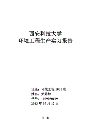 环境工程生产实习报告湿地污水处理系统.doc