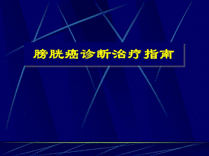 膀胱癌诊断治疗指南课件.ppt