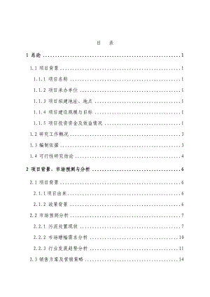 城市污水处理厂污泥综合处置利用制砖项目可行性研究报告.doc