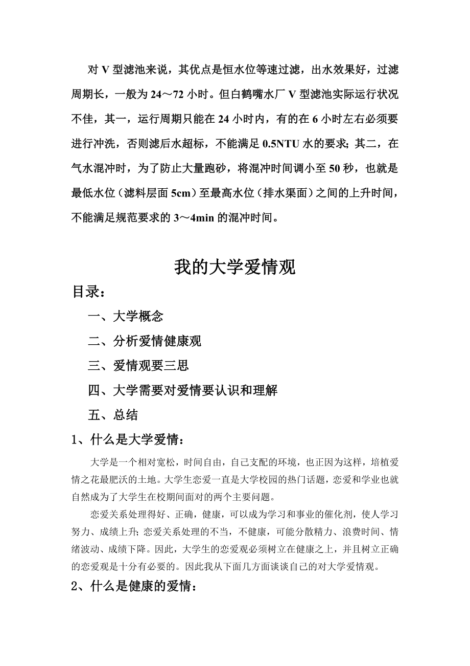 武汉龙王嘴污水厂实习报告.doc_第3页