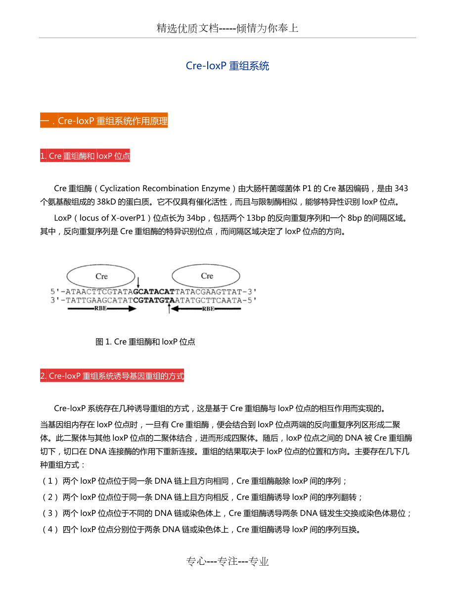 维真生物-Cre重组系统.doc_第1页