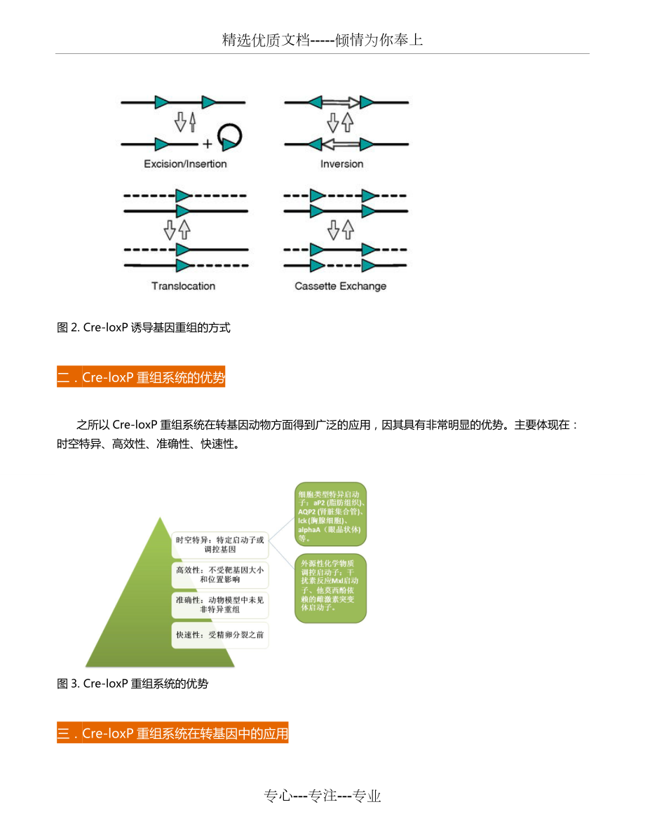 维真生物-Cre重组系统.doc_第2页